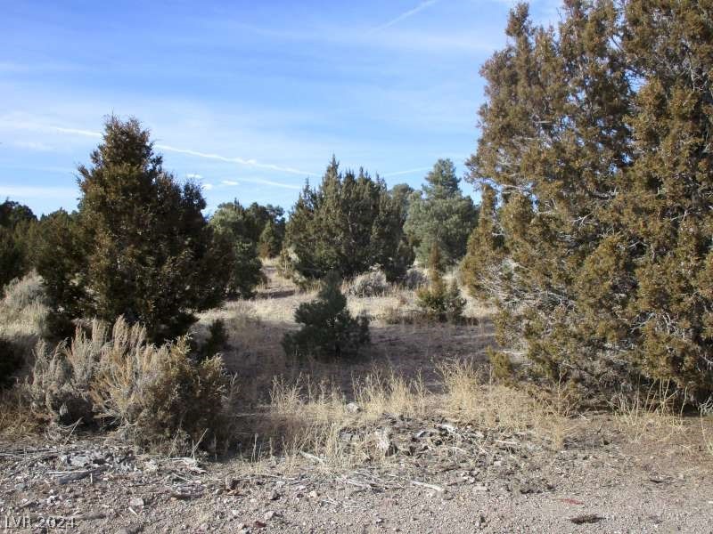 Nevada Hwy 322 (13.753 Ac) Property Photo 6