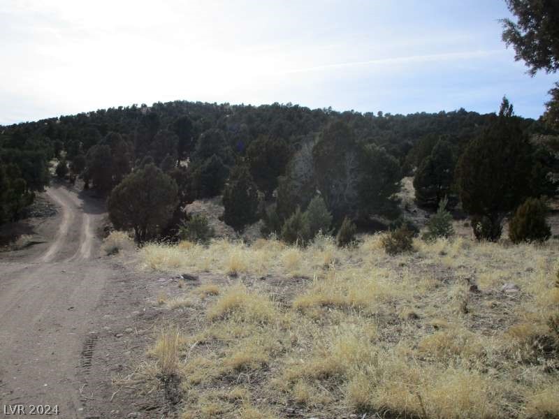 Nevada Hwy 322 (13.753 Ac) Property Photo 7