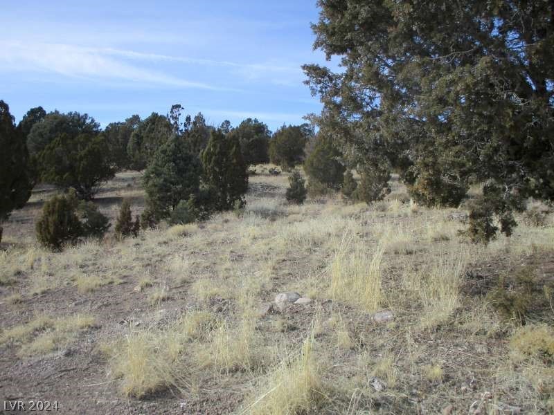 Nevada Hwy 322 (13.753 Ac) Property Photo 8