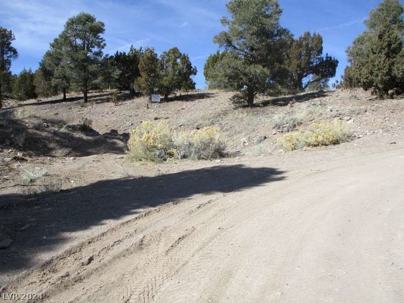 Nevada Hwy 322 (13.753 Ac) Property Photo 9