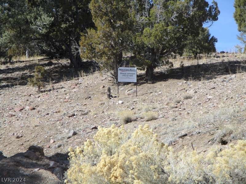 Nevada Hwy 322 (13.753 Ac) Property Photo 10