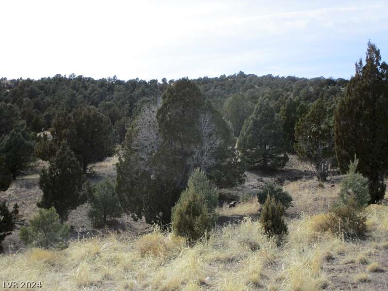 Nevada Hwy 322 (13.753 Ac) Property Photo 11