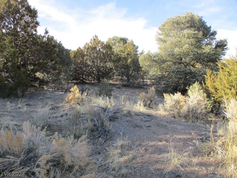 Nevada Hwy 322 (30.15 Ac) Property Photo 2