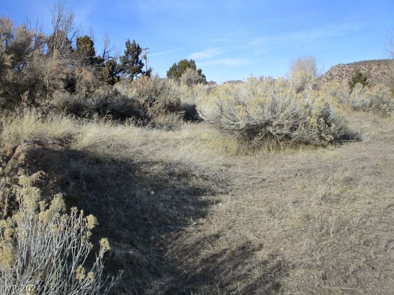 Nevada Hwy 322 (30.15 Ac) Property Photo 3