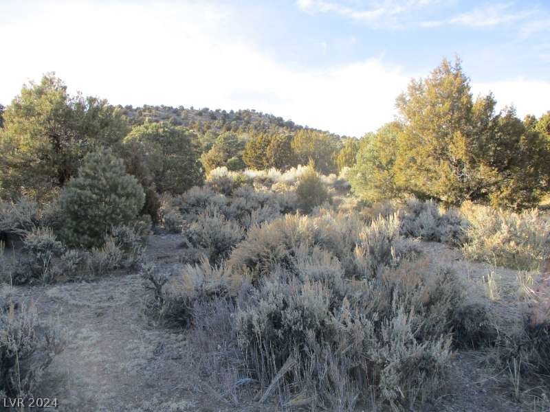 Nevada Hwy 322 (30.15 Ac) Property Photo 5