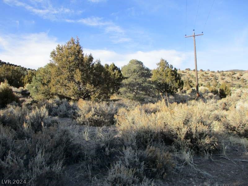 Nevada Hwy 322 (30.15 Ac) Property Photo 6