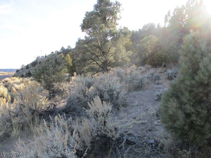 Nevada Hwy 322 (30.15 Ac) Property Photo 7