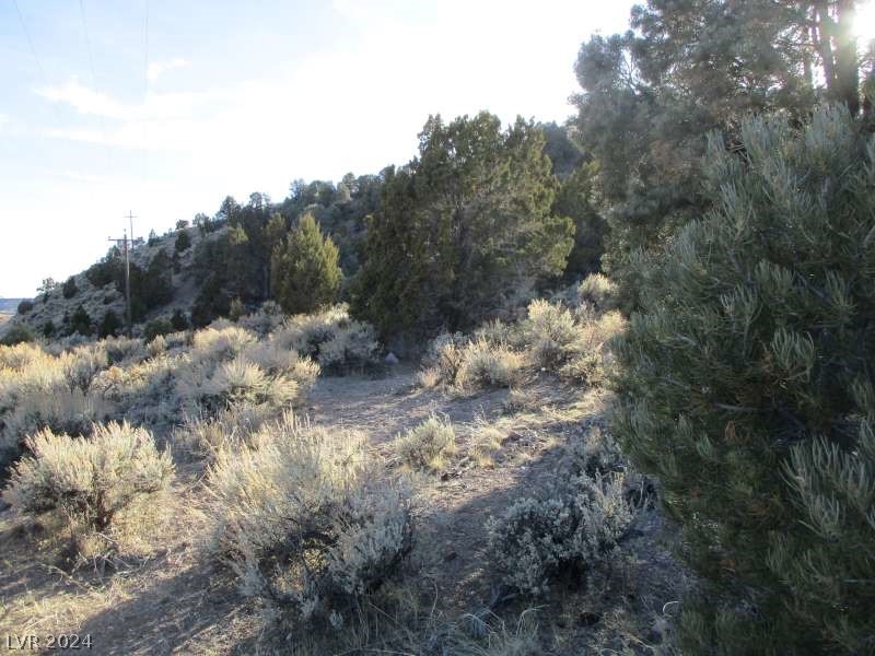 Nevada Hwy 322 (30.15 Ac) Property Photo 8
