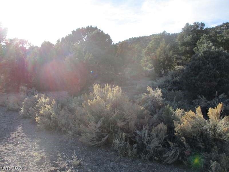 Nevada Hwy 322 (30.15 Ac) Property Photo 9
