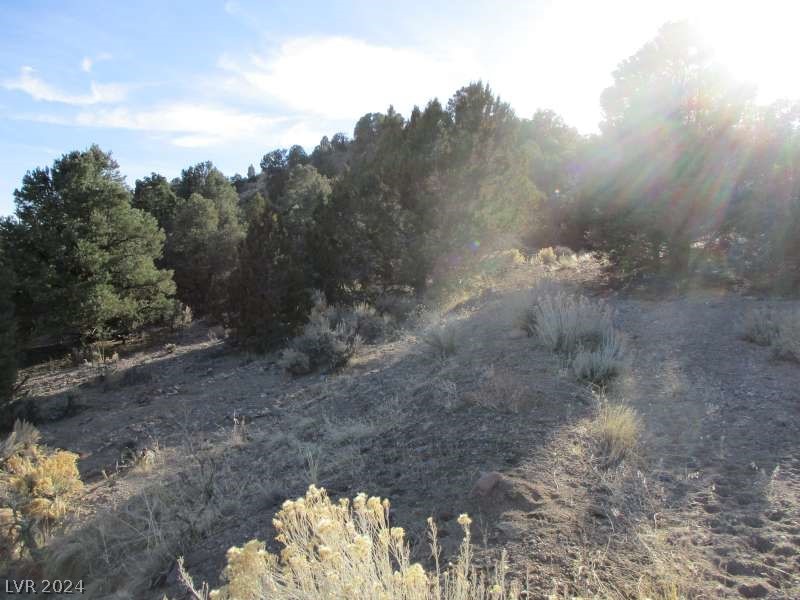 Nevada Hwy 322 (30.15 Ac) Property Photo 10