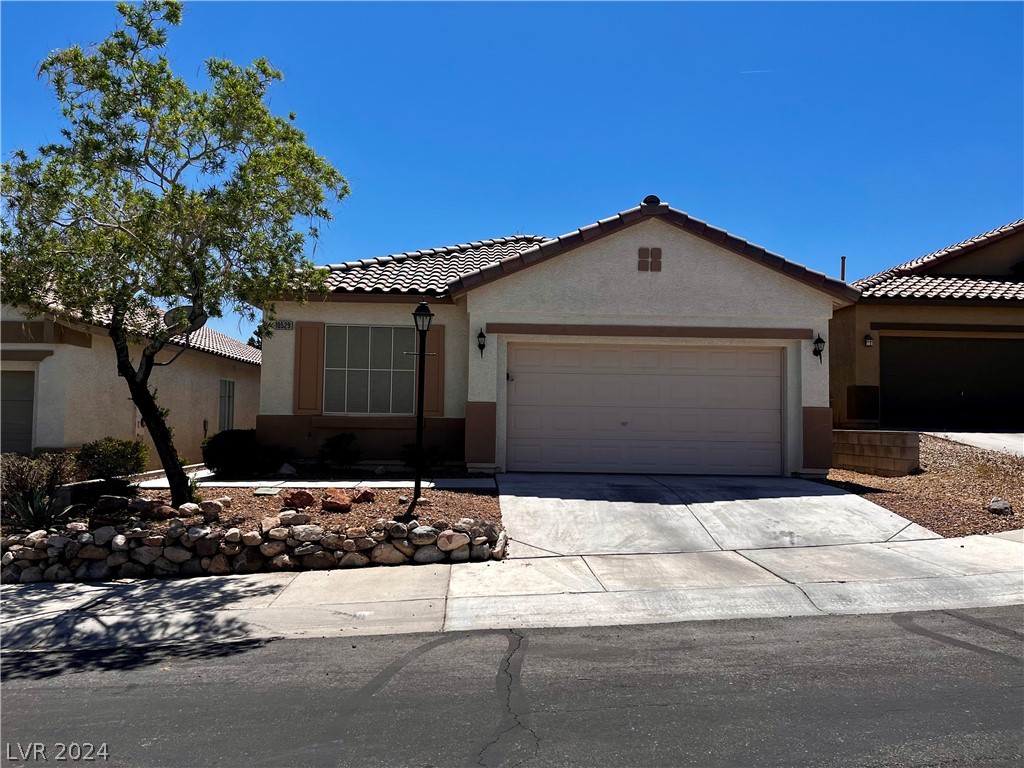 10529 Cliff Edge Court Property Photo 1