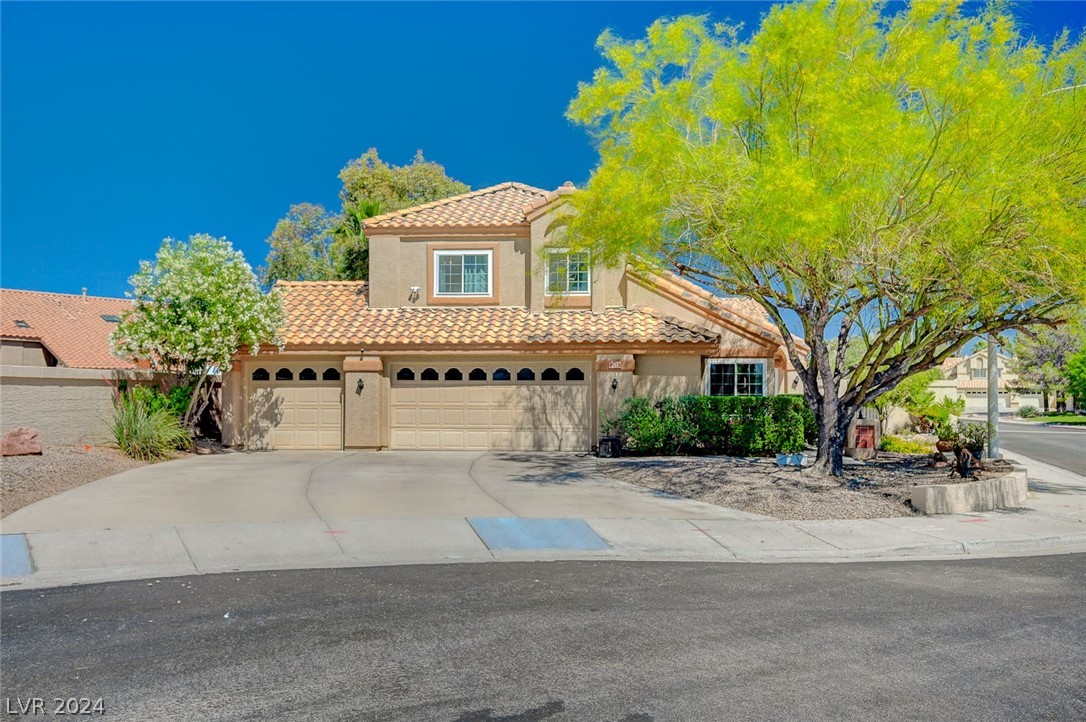 263 Sunshine Springs Court Property Photo 1