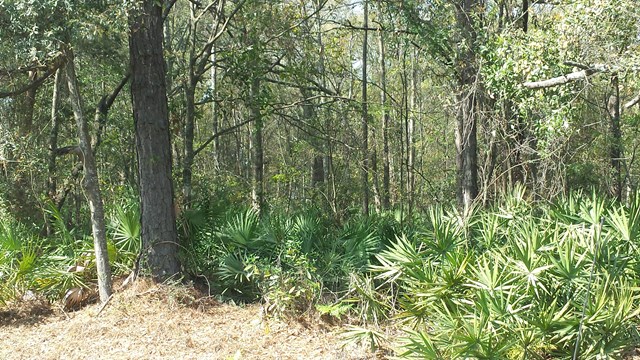 5033 Habersham Street Property Photo 1