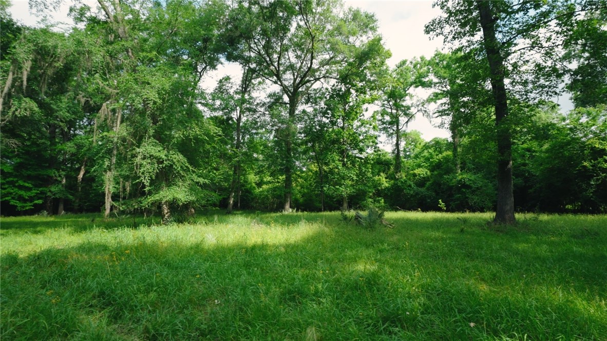 0 East River Road Property Photo 4