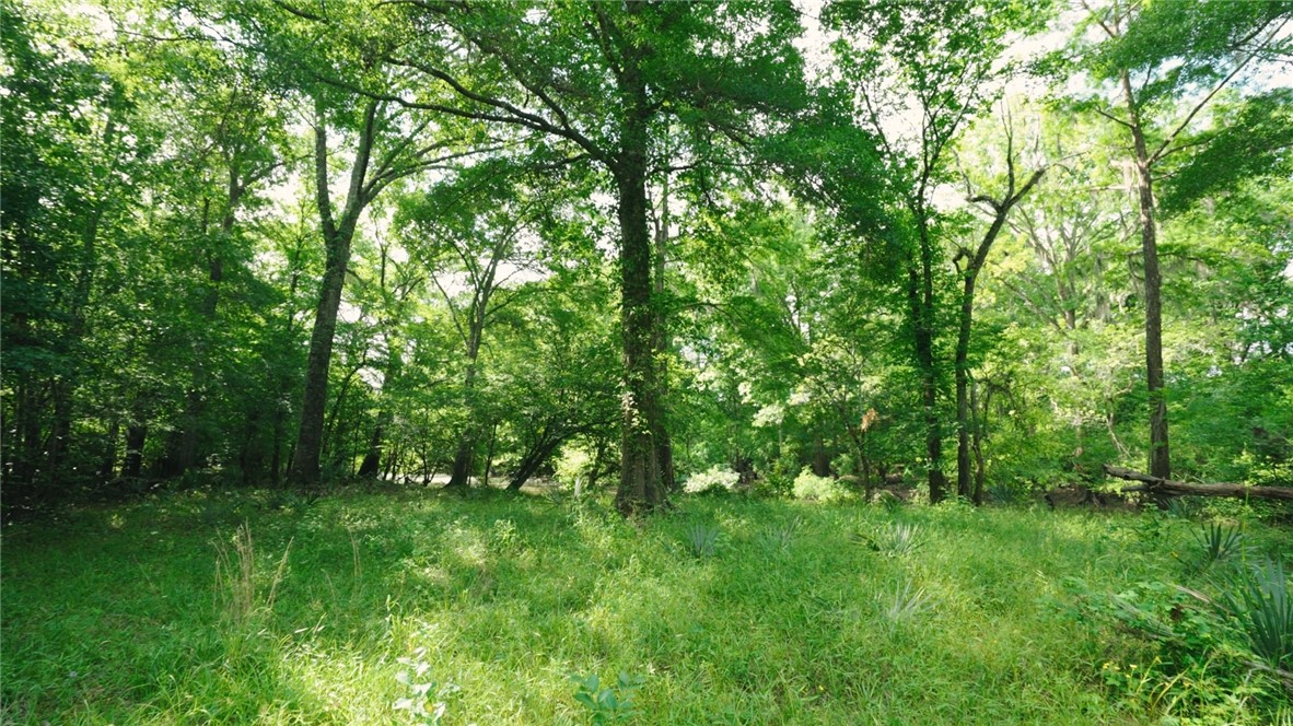 0 East River Road Property Photo 6