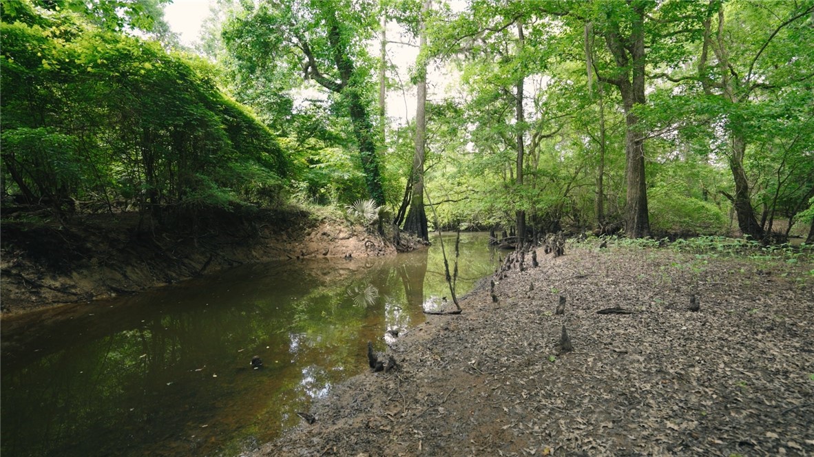 0 East River Road Property Photo 9