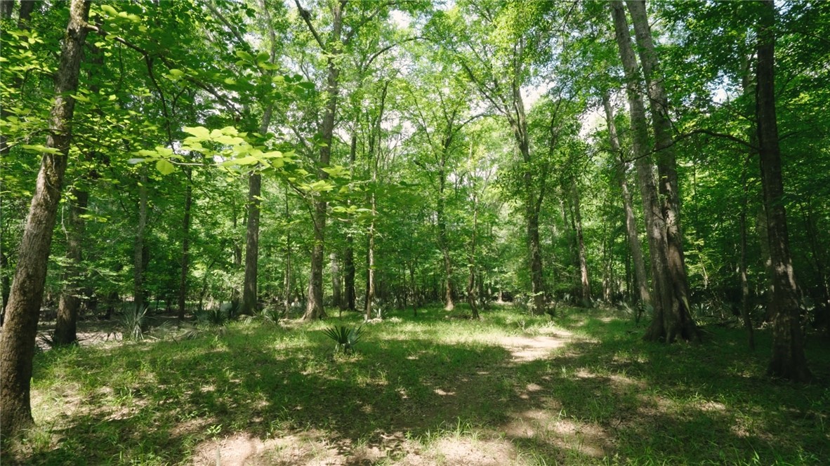 0 East River Road Property Photo 13
