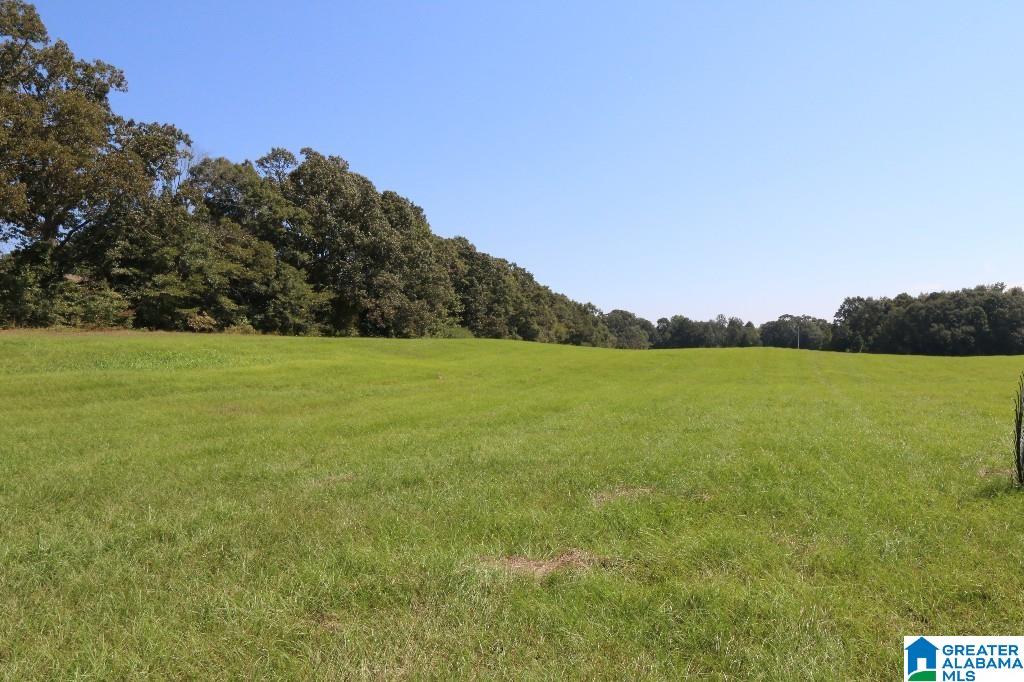 0 Wilson Road Property Photo