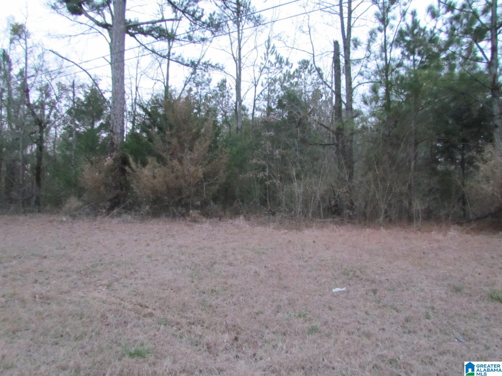 00 Highway 87 Property Photo 1