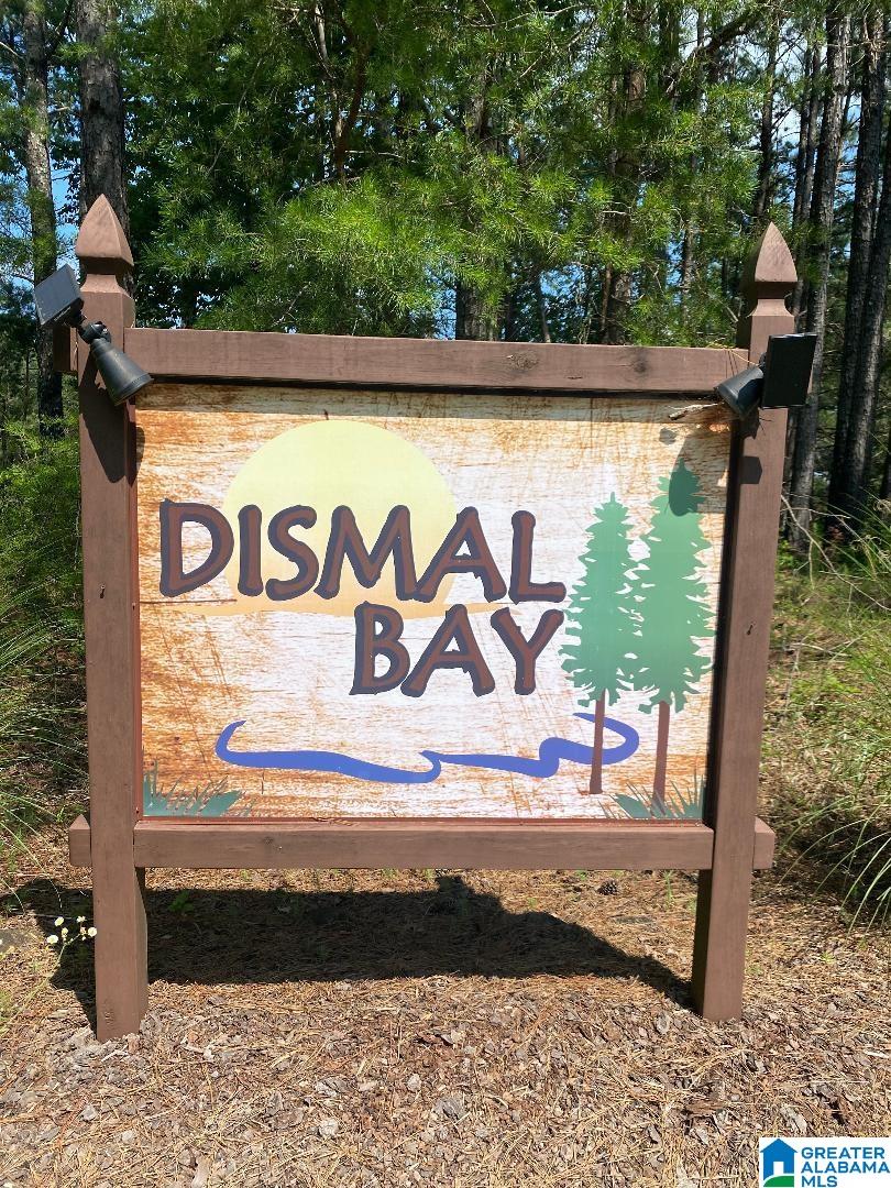 Lot 8 County Road 283 Property Photo 1