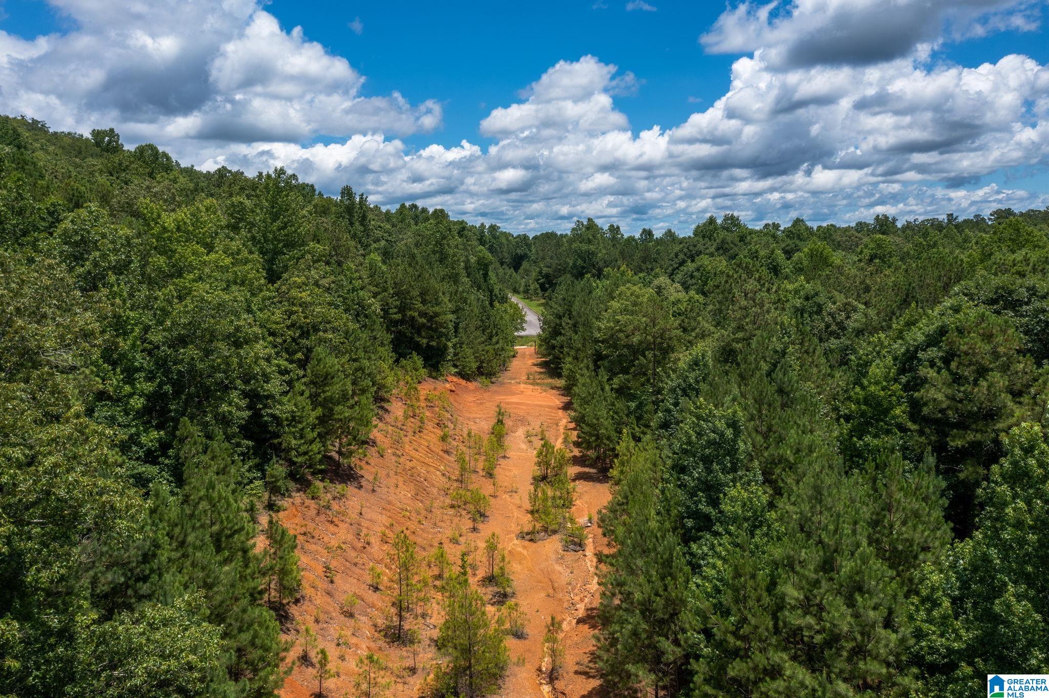 Deer Ridge Drive Property Photo