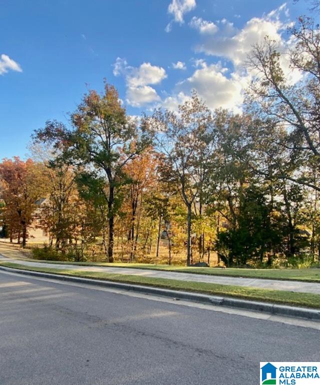 0 Hawks Way Ne Property Photo 1