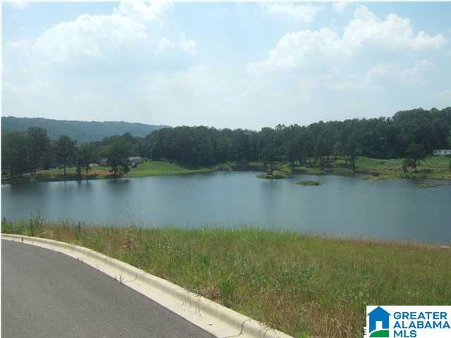 325 Gray Fox Road Property Photo 2