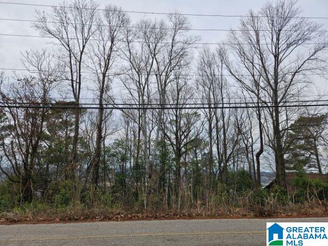 1424 Shades Crest Road Property Photo 1
