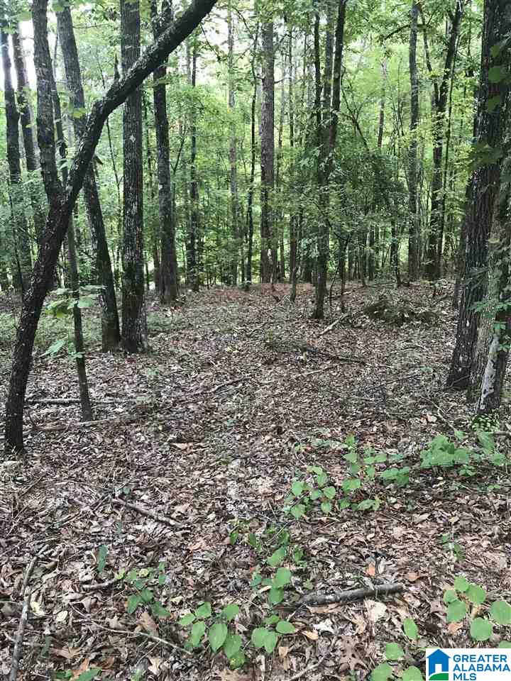 AURORA CIRCLE Property Photo 1