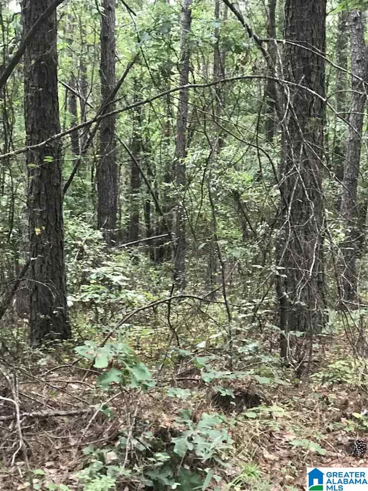 0 Highway 191 Property Photo 1