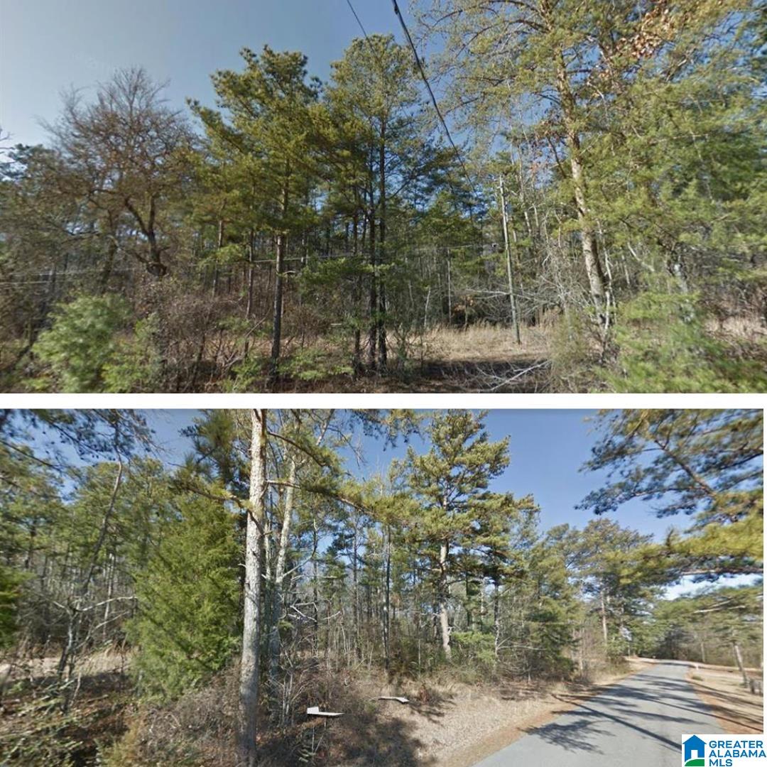 0 Sunset Drive E Property Photo 1