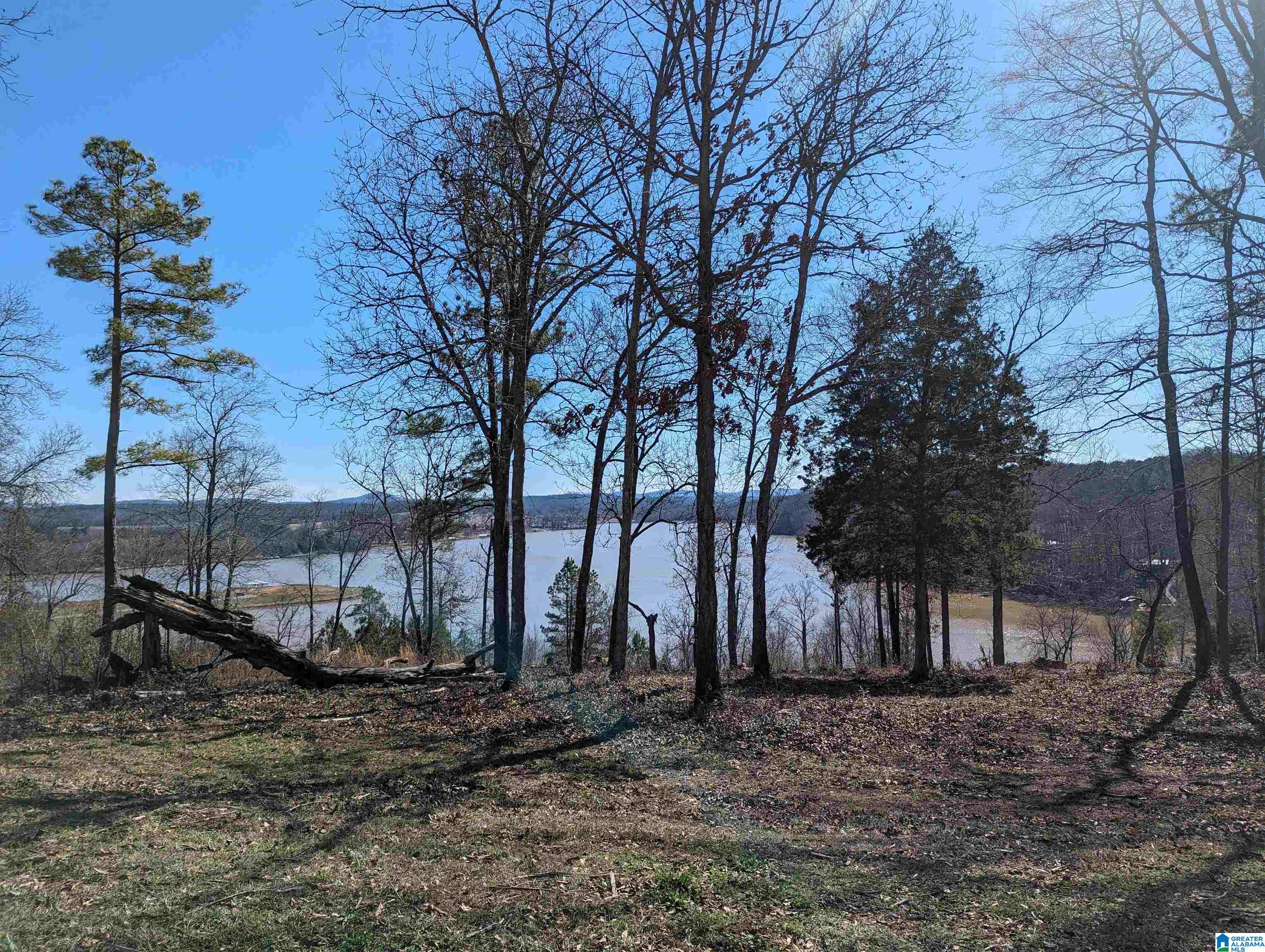 0 Overlook Ridge Property Photo 1