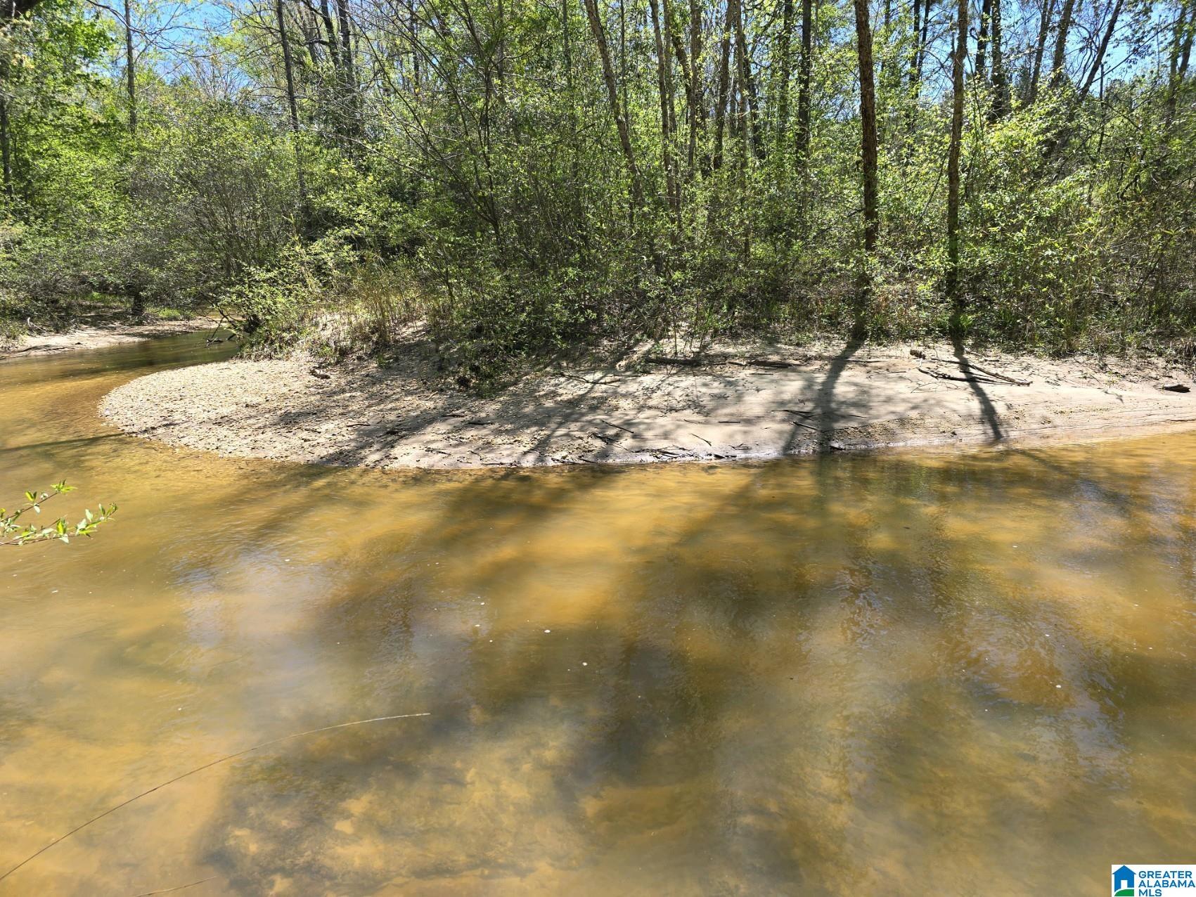 0 Highway 82 Property Photo 1