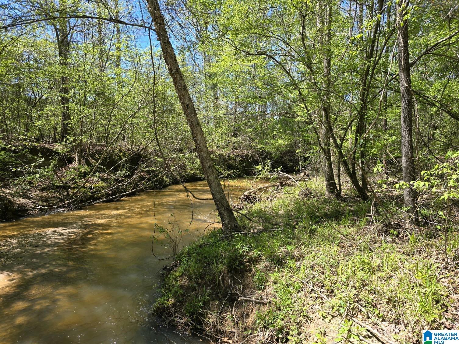 0 Highway 82 Property Photo 3