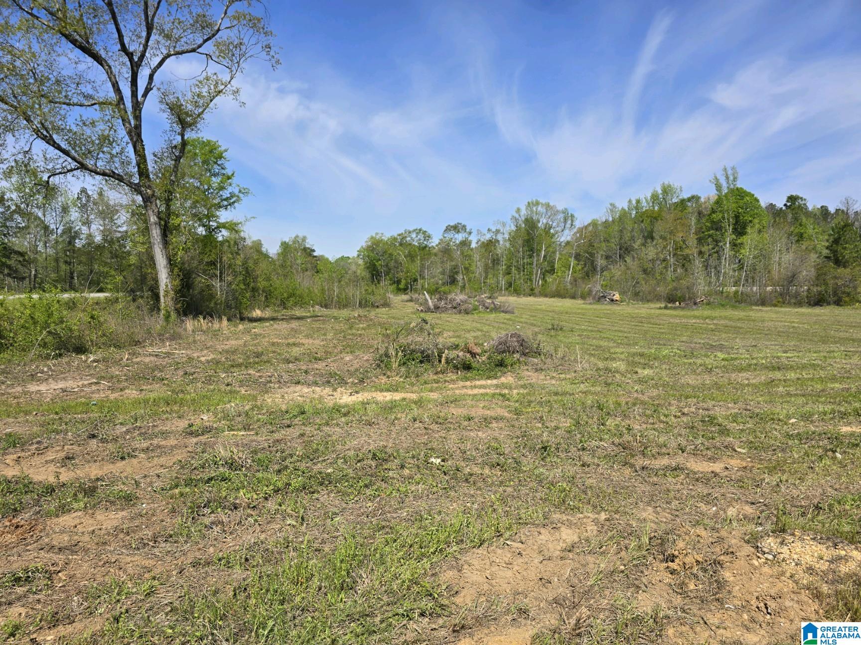 0 Highway 82 Property Photo 4
