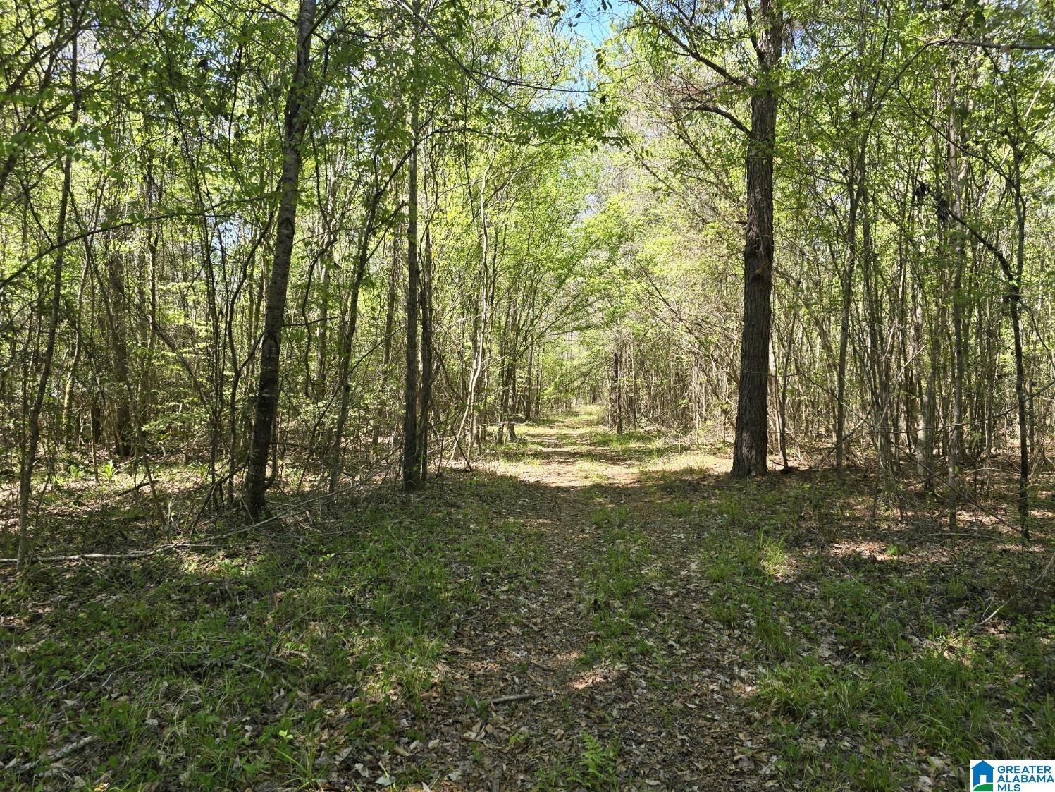 0 Highway 82 Property Photo 5