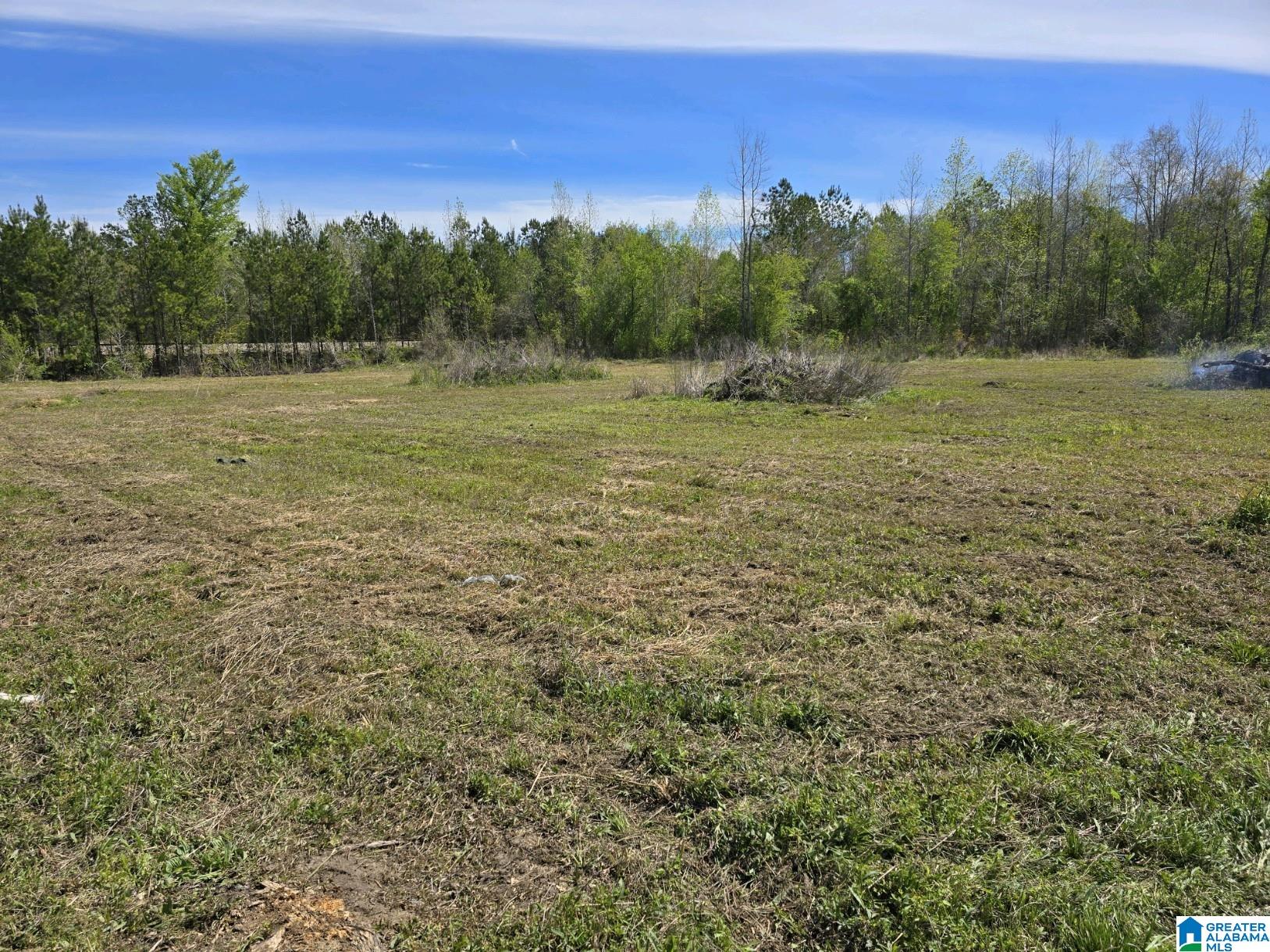 0 Highway 82 Property Photo 9