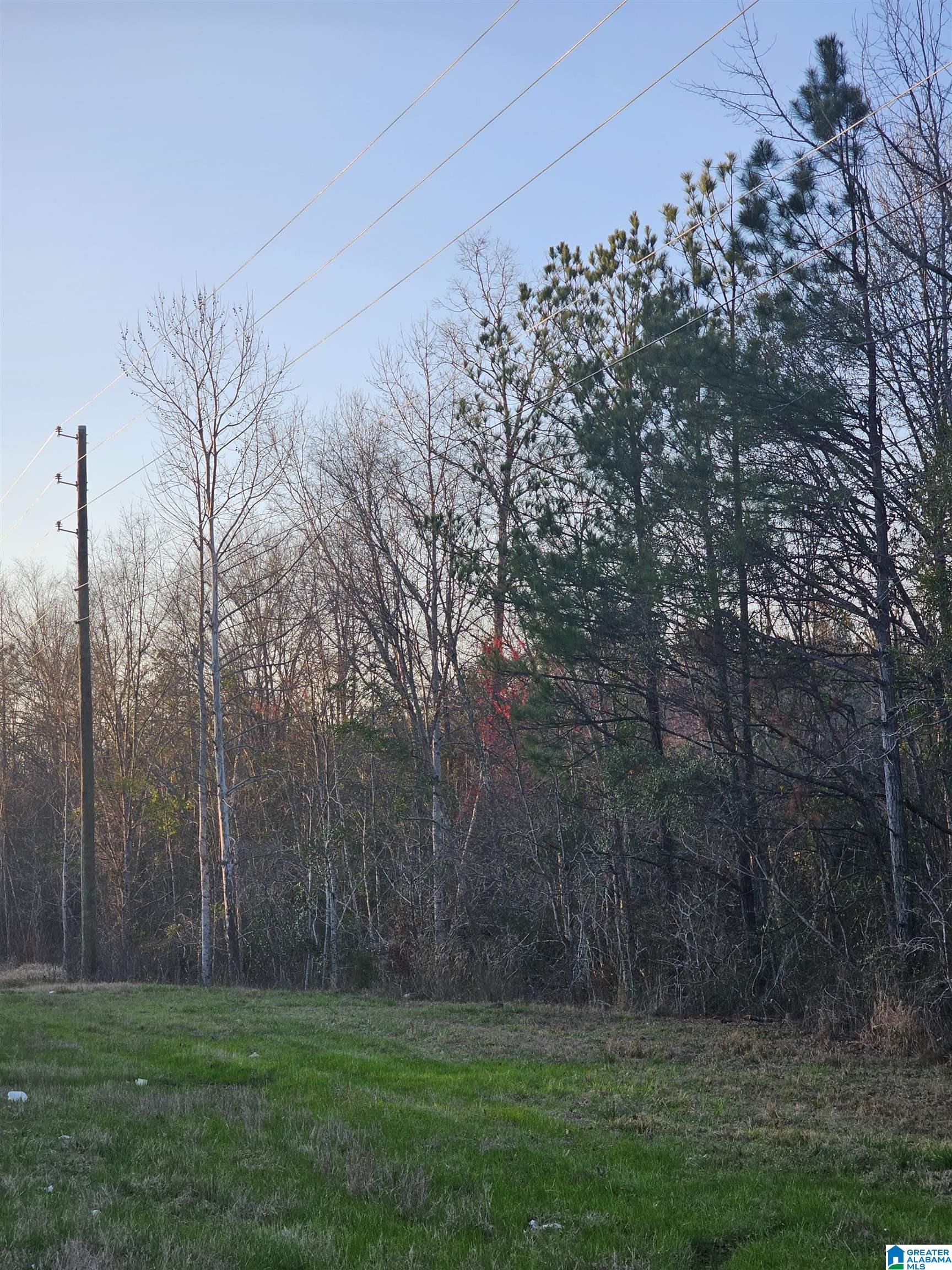 0 Highway 82 Property Photo 10