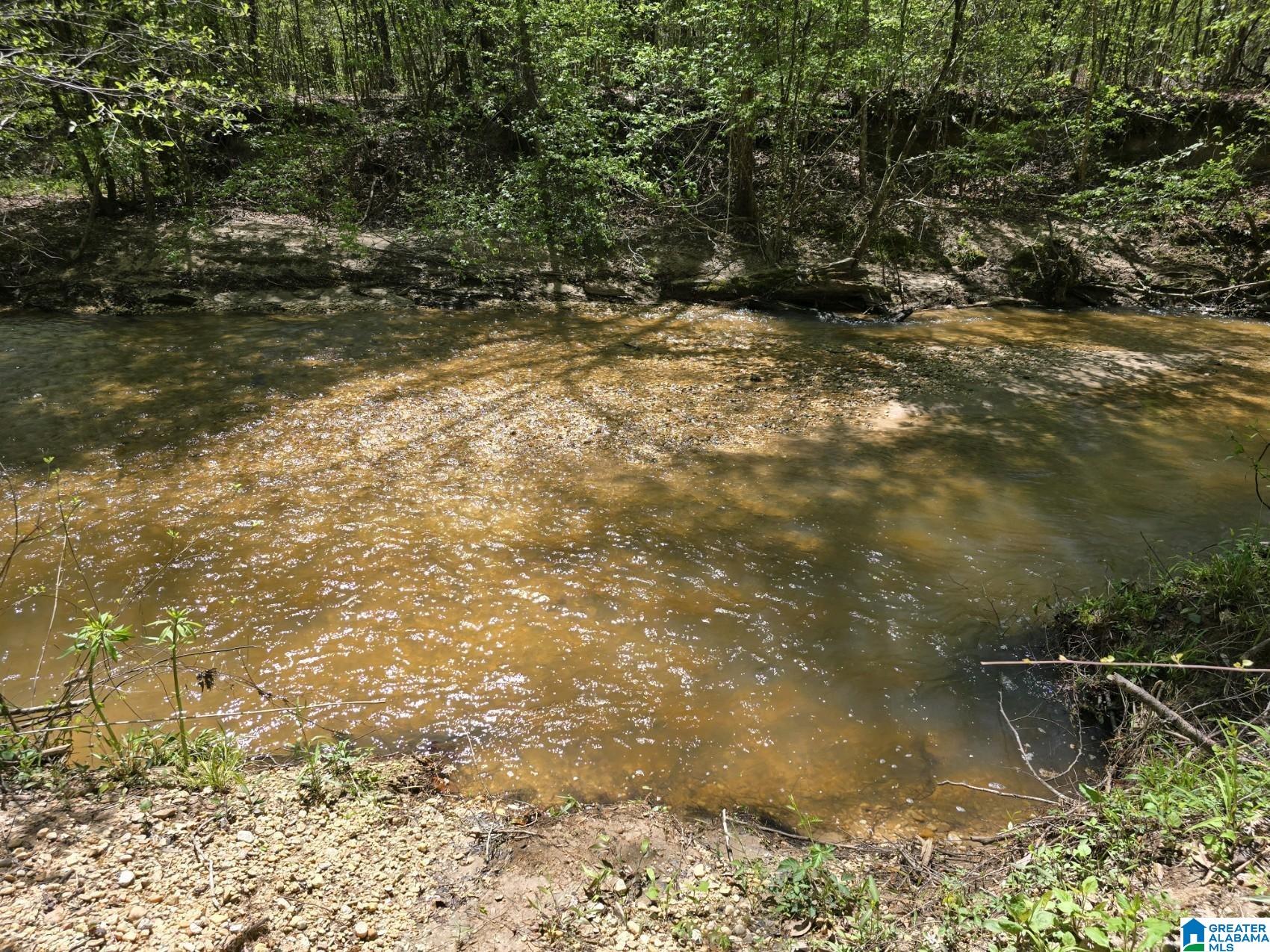 0 Highway 82 Property Photo 11