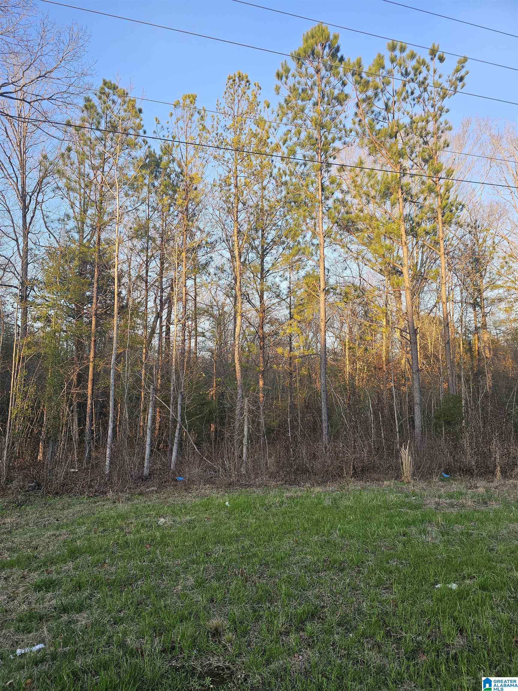 0 Highway 82 Property Photo 12