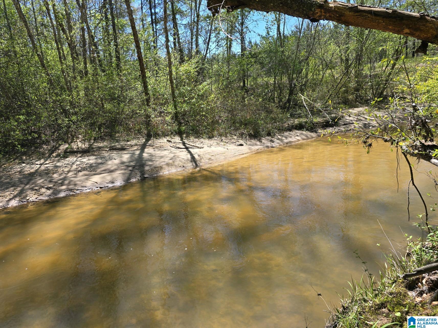 0 Highway 82 Property Photo 13