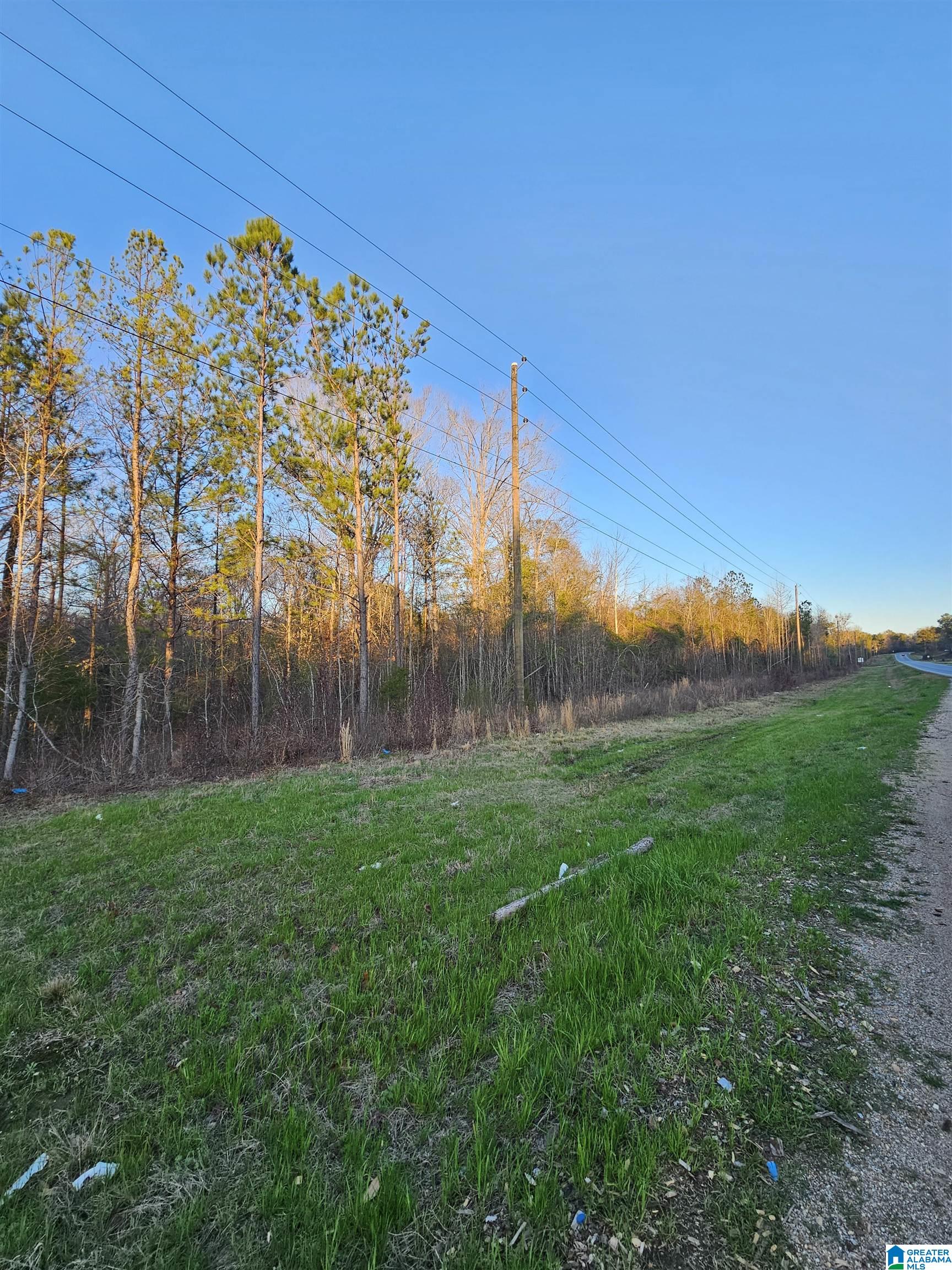 0 Highway 82 Property Photo 15