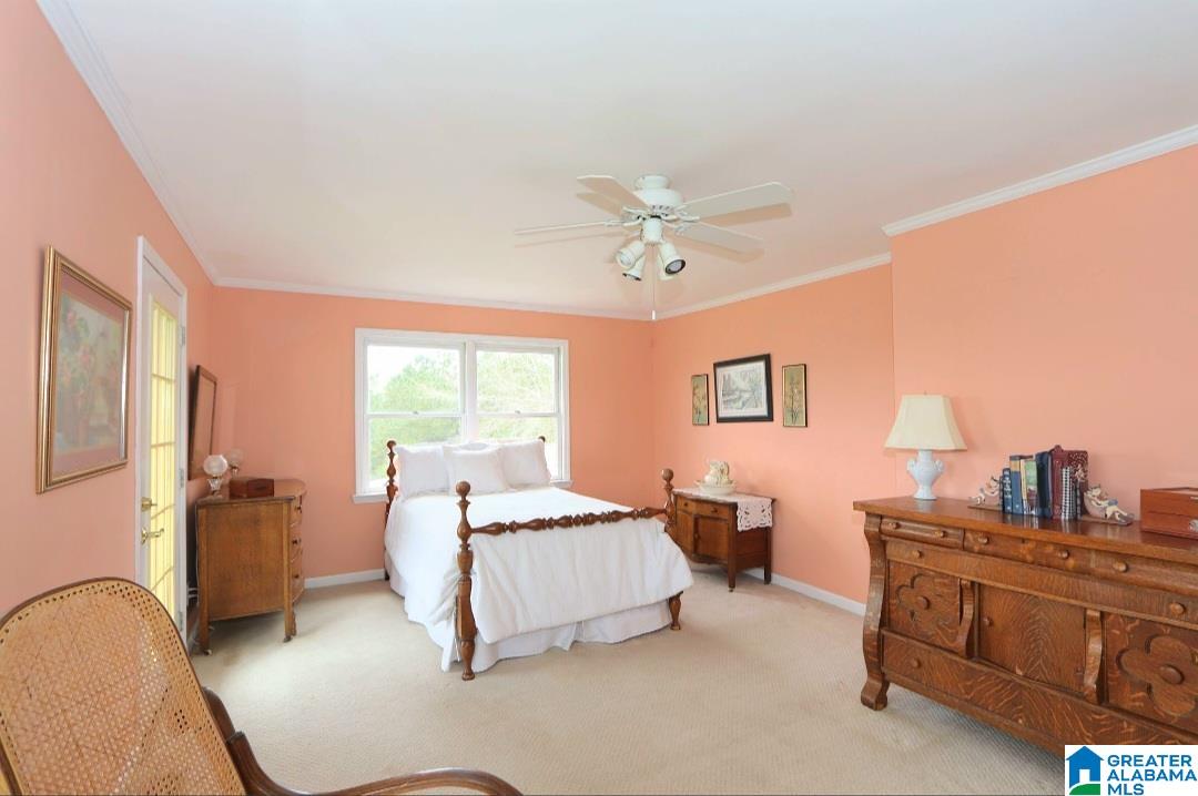 131 Kathy Lane Property Photo 50