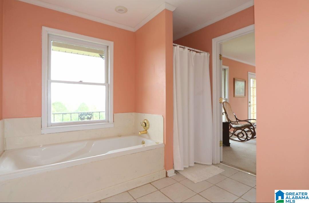 131 Kathy Lane Property Photo 54
