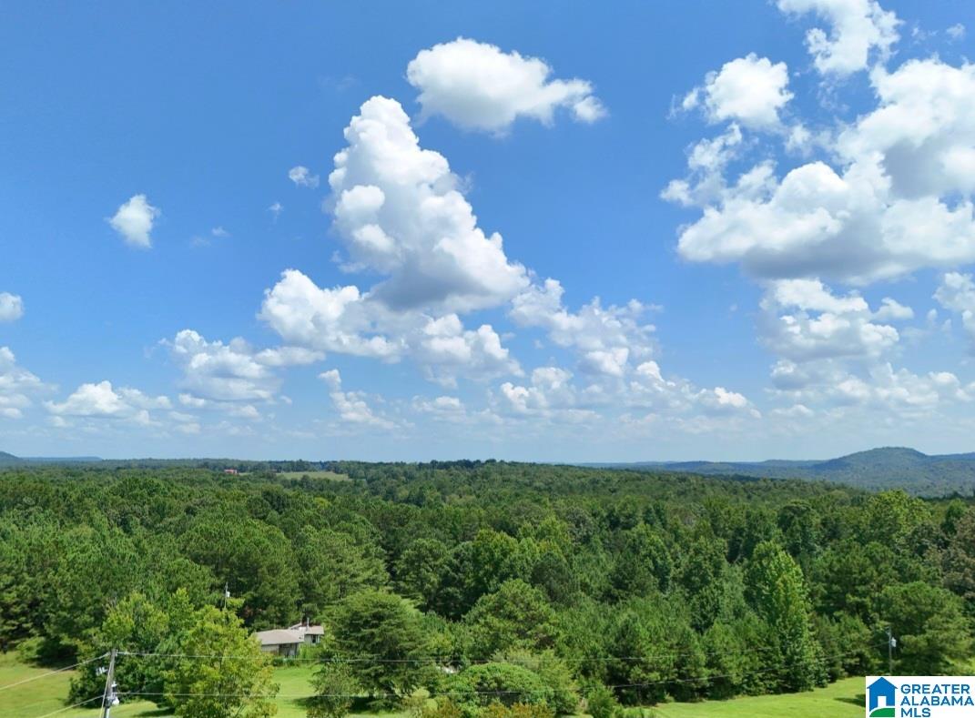 131 Kathy Lane Property Photo 64
