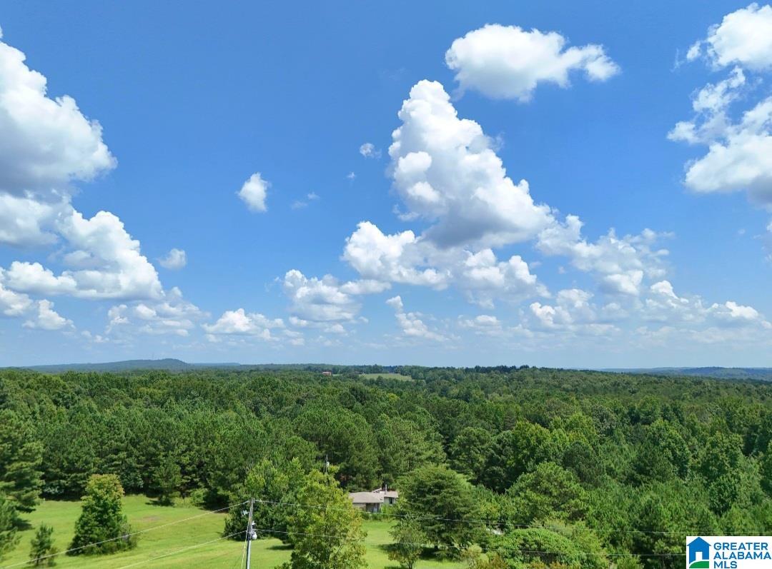 131 Kathy Lane Property Photo 65