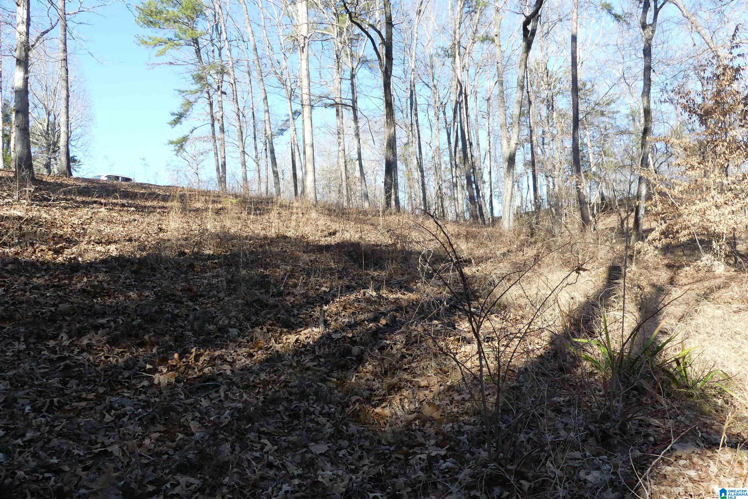 Lot 5 Daisy Drive Property Photo 2