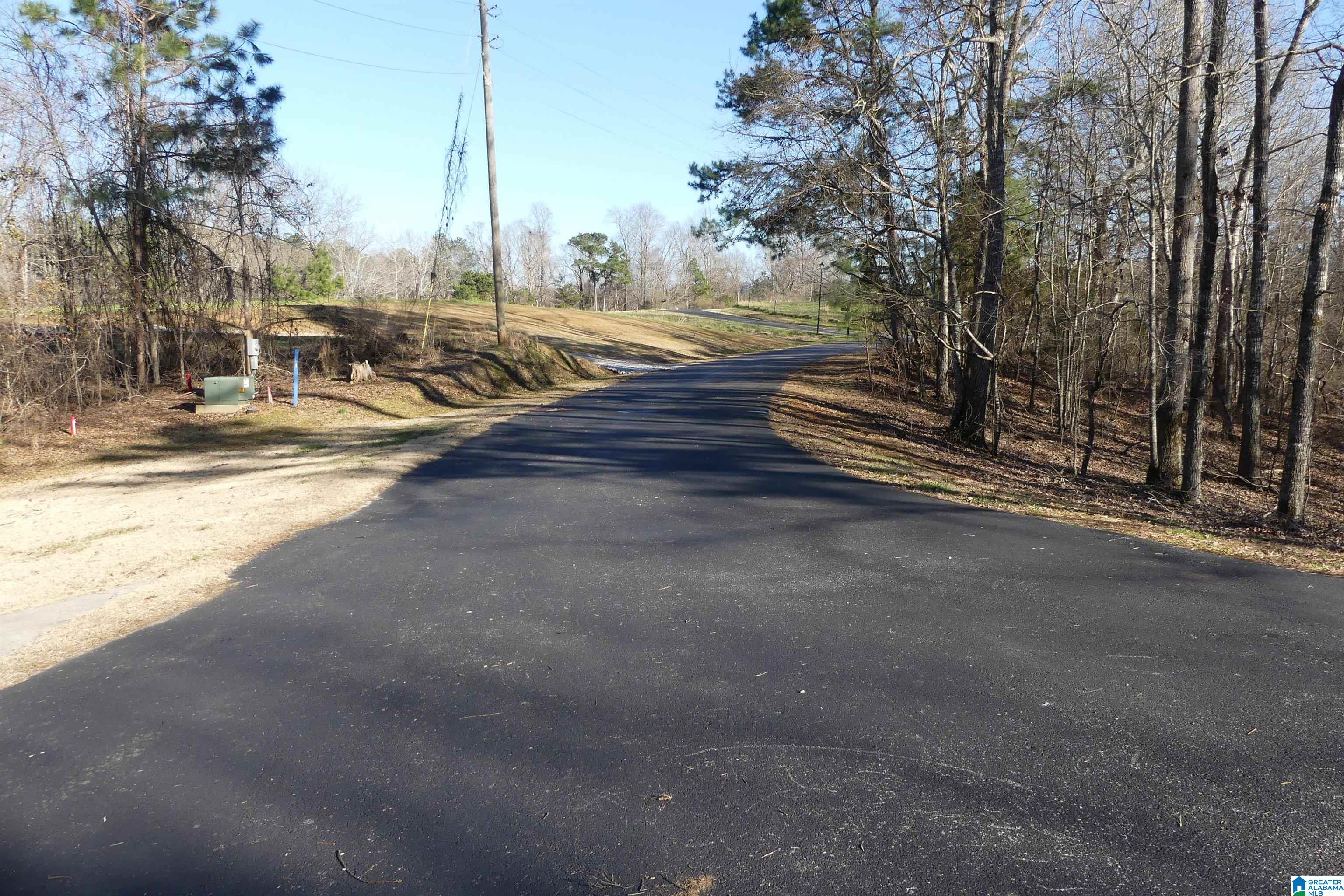 Lot 5 Daisy Drive Property Photo 3