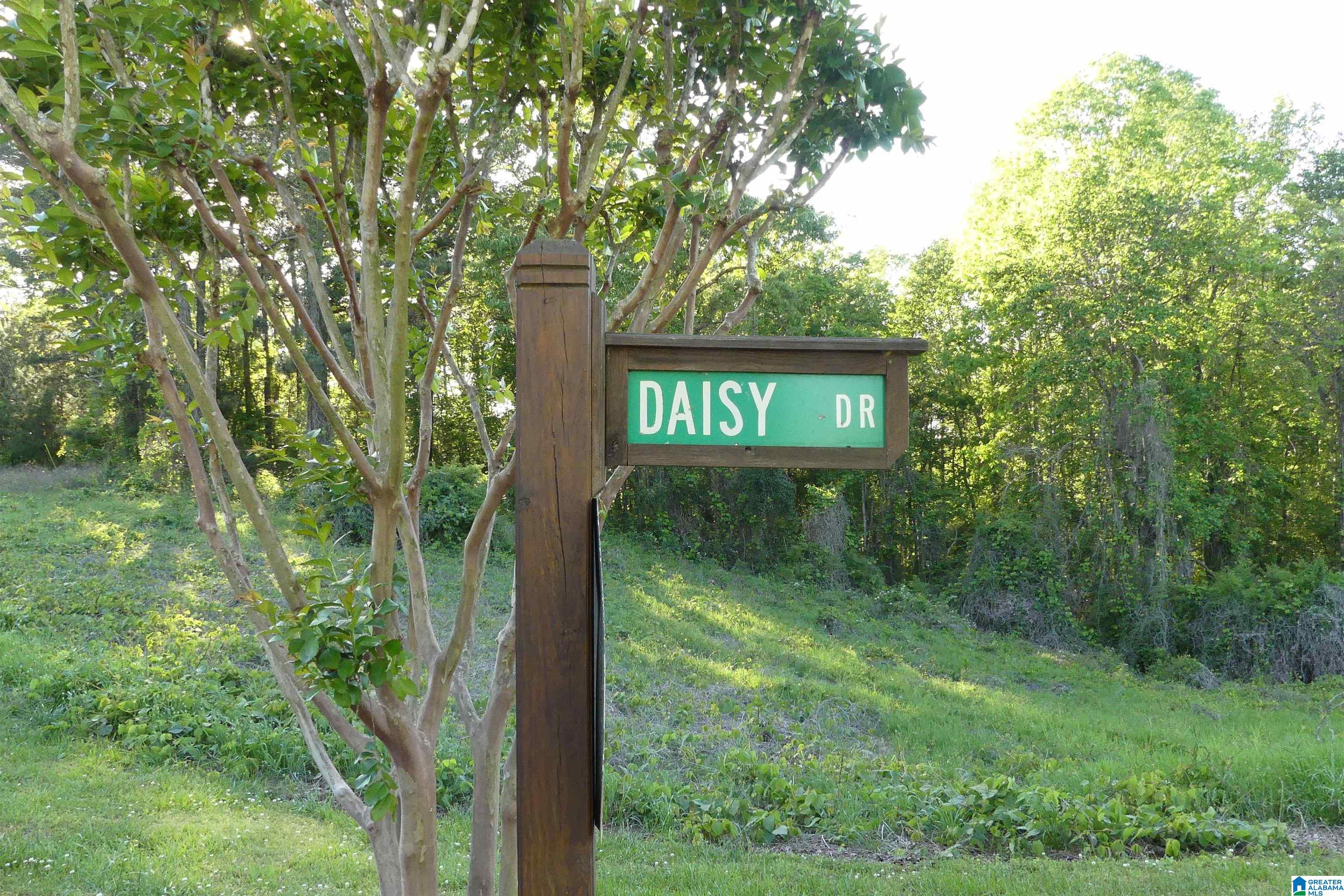 Lot 5 Daisy Drive Property Photo 7