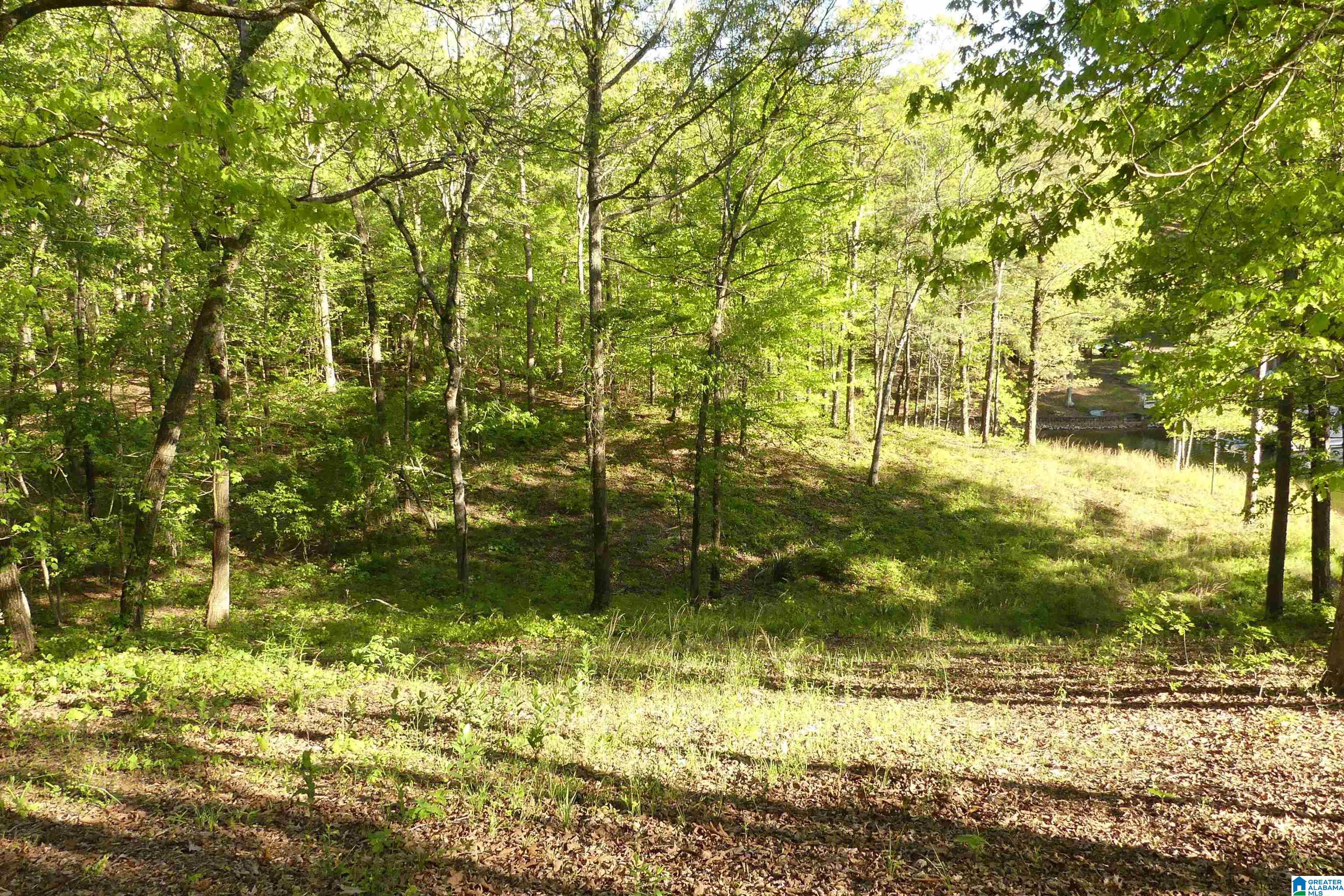 Lot 5 Daisy Drive Property Photo 11